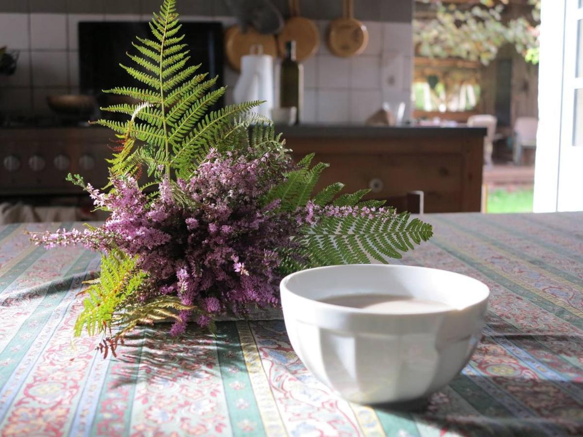 Losse Les Jardins D'Atyoula المظهر الخارجي الصورة